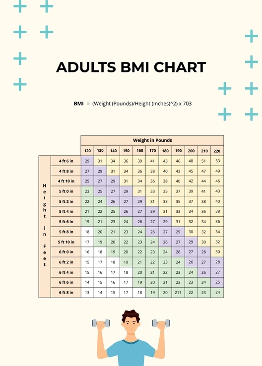 Adults BMI Chart Template