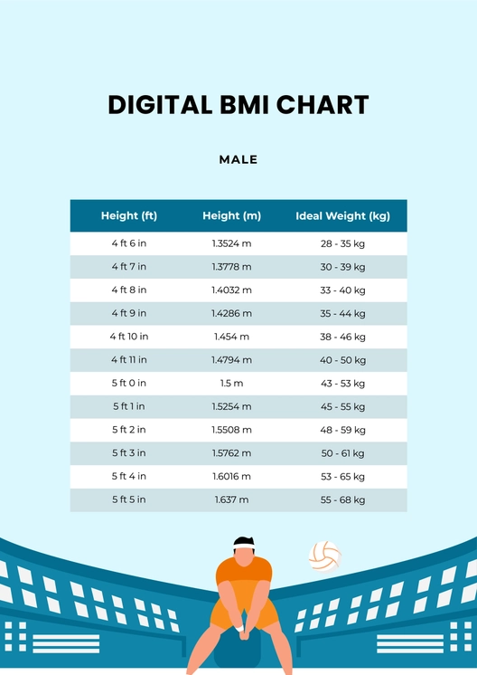 Digital Bmi Chart Template