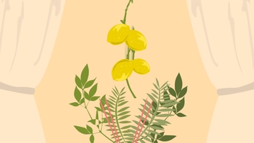 Free Sukkot Clipart Background Template to Edit Online