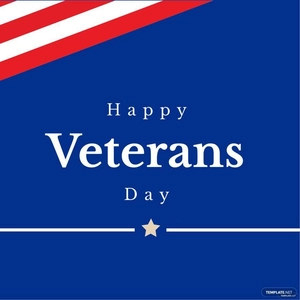 Veterans Day Illustration