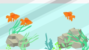 Free Aquarium Mirror Background Template to Edit Online Free Aquarium Mirror Background Template to Edit Online