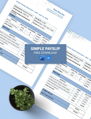 Simple Payslip Template