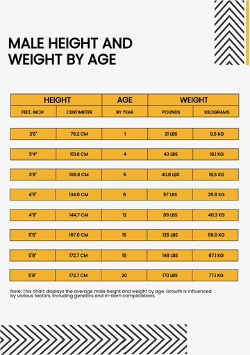 Free Male Height And Weight Conversion Chart Template to Edit Online