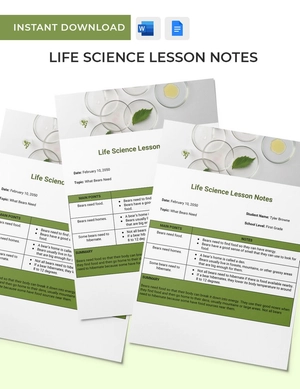 Primary School Lesson Note