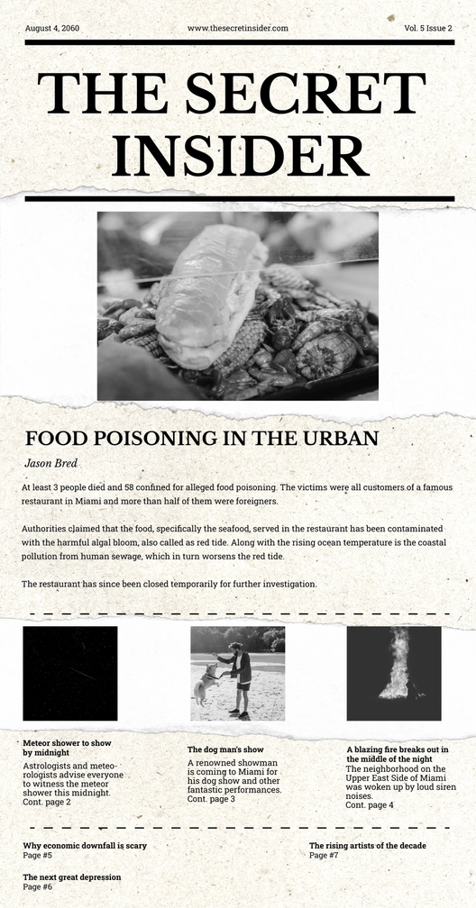 Ripped Newspaper Ripped Newspaper