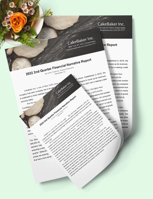 Financial Narrative Report Template