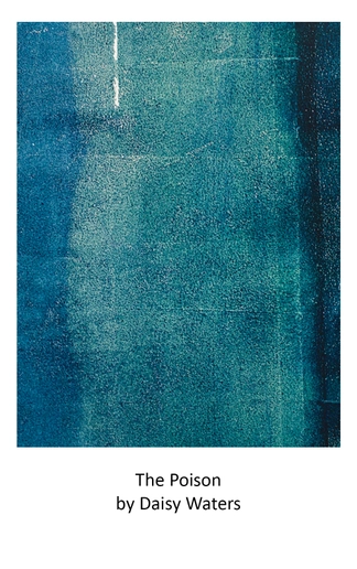 Polaroid Album Cover Template