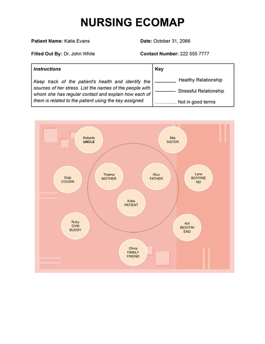 Nursing Ecomap Template