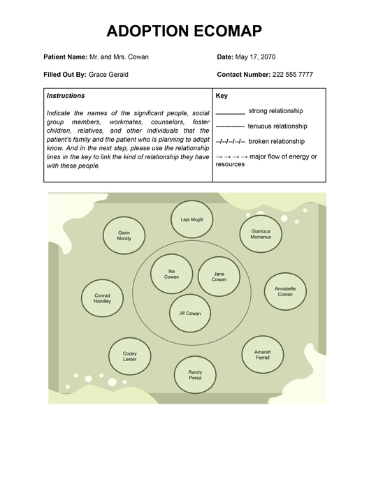 Ecomap Template For Adoption