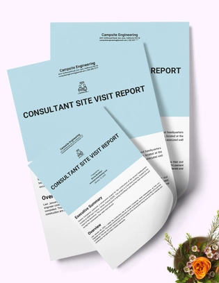 Consultant Site Visit Report Template
