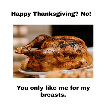Free Dirty Thanksgiving Day Meme Template to Edit Online