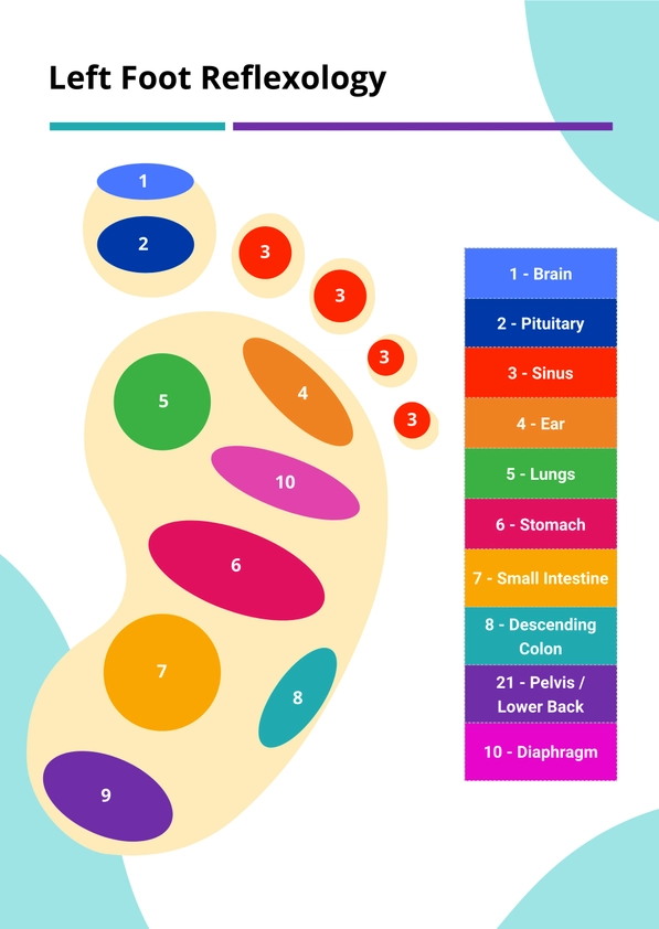 Foot Reflexology Chart
