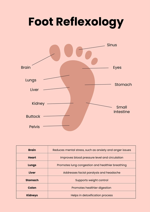 Simple Reflexology Chart