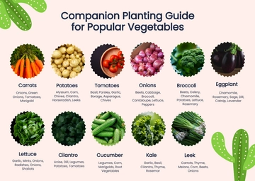 Free Companion Planting Chart For Popular Vegetables Template to Edit Online