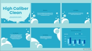 Cleaning And Hygiene Company Profile