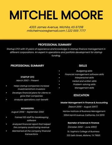Free Startup CFO Resume Template to Edit Online