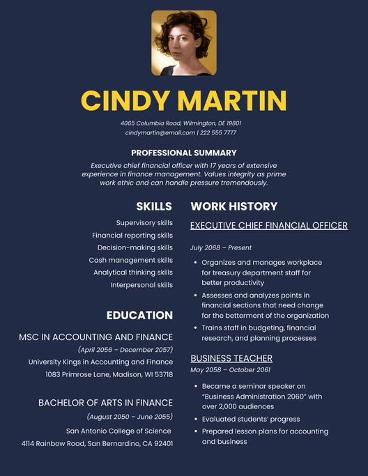 Executive Chief Financial Officer Resume
