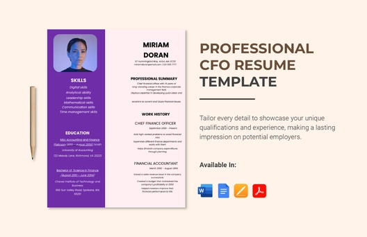 Professional CFO Resume