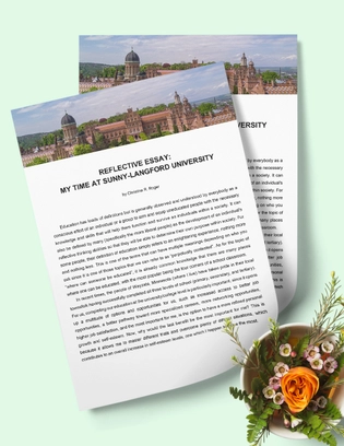 University Reflective Essay Template