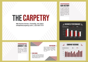 Carpet Cleaning Company Profile Template