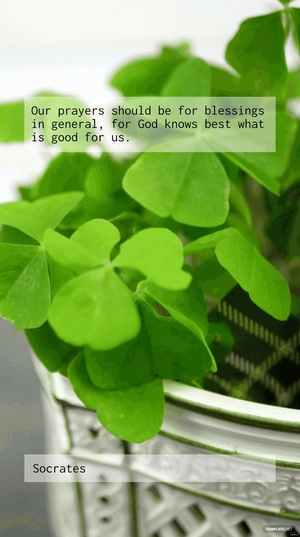 Socrates - Our prayers should be for blessings in general, for God knows best what is good for us.