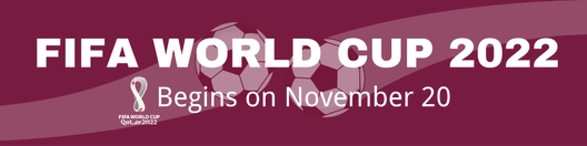 World Cup 2022 Linkedin Banner