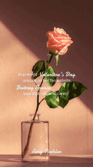 Amy Poehler - In a recent Valentine's Day posting on her fan website, Britney Spears says that - oh, who cares?