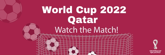World Cup 2022 Twitter Banner