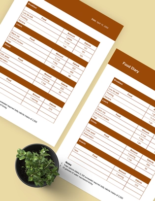 Food Diary Template Food Diary Template