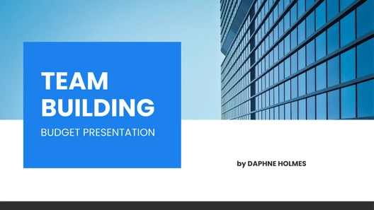 Company Budget Presentation Template