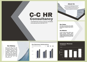 HR Consulting Company Profile