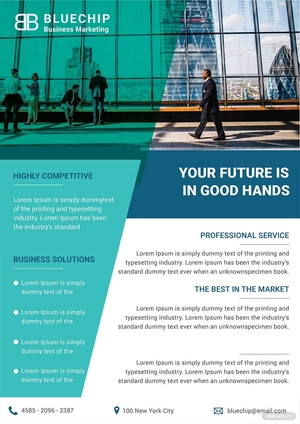 Business Datasheet Template