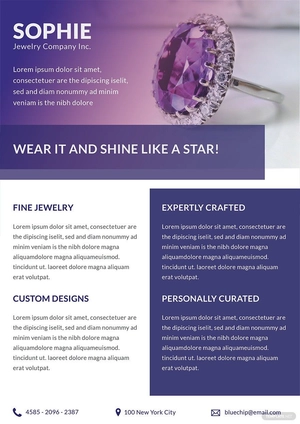 Jewelry Store Datasheet Template