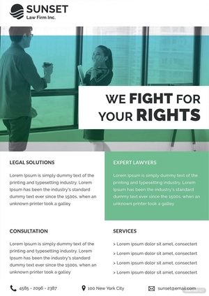 Law Firm Datasheet Template