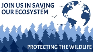 World Wildlife Day Invitation Background