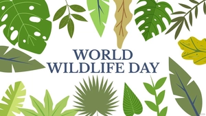 High Resolution World Wildlife Day Background