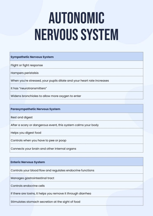 Autonomic Nervous System Chart