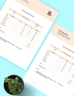 Paycheck Budget Tracker Template
