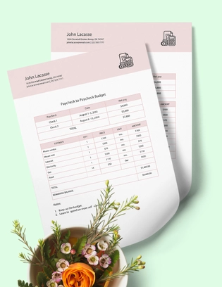Paycheck To Paycheck Budget Template