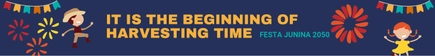 Festa Junina Website Banner