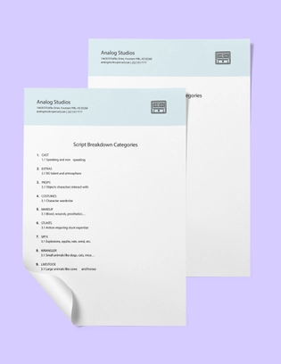 Script Breakdown Sheet Template