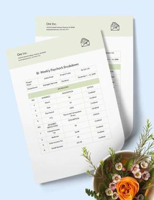 Bi-weekly Paycheck Breakdown Template