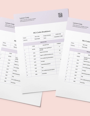 MLS Codes Breakdown Template