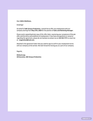 Company Offer Letter Template