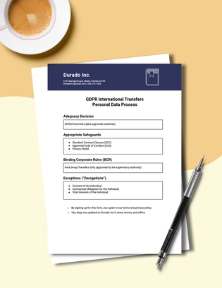 GDPR International Transfers Personal Data Process Template