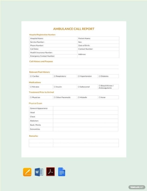 Ambulance Call Report Template