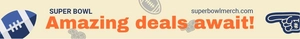 Super Bowl Website Banner