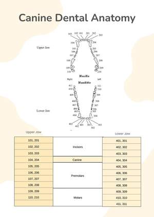 Canine Dental Chart