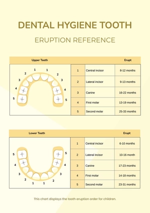 Dental Hygiene Tooth Eruption Chart