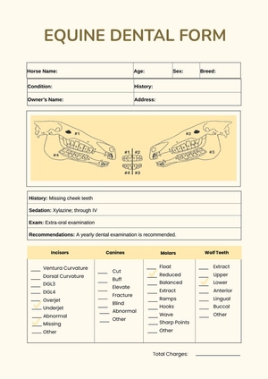 Equine Dental Chart